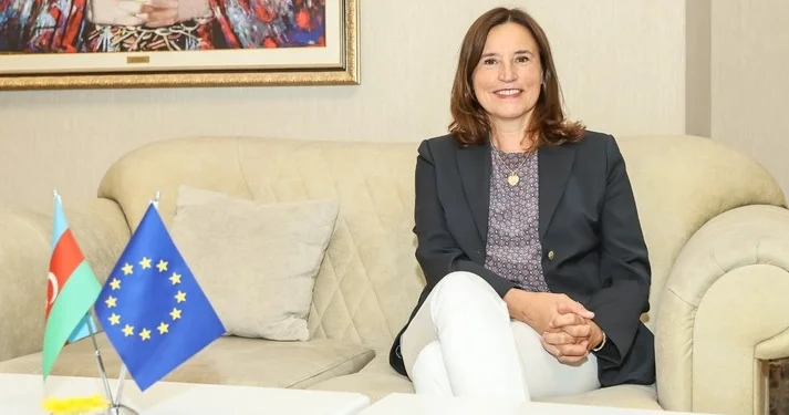 VÜQAR TOFİQOĞLUNUN MƏHKƏMƏSİ GİZLİ SAXLANILIR Baş redaktorun qardaşı Avropa İttifaqının səfirinə müraciət etdi