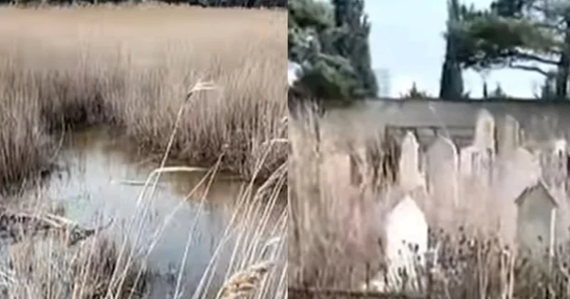 Zabratdakı ürəkağrıdan mənzərə ilə bağlı AÇIQLAMA