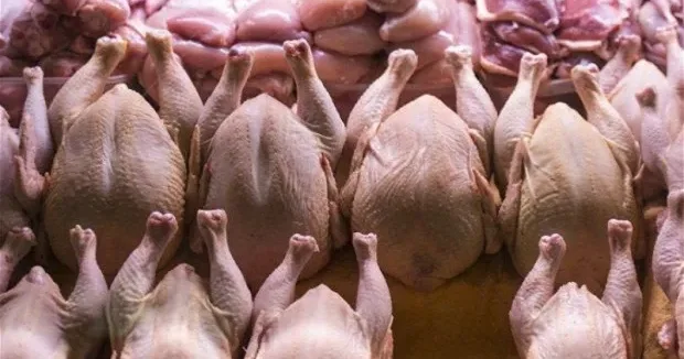Toyuq əti bahalaşacaq? AÇIQLAMA
