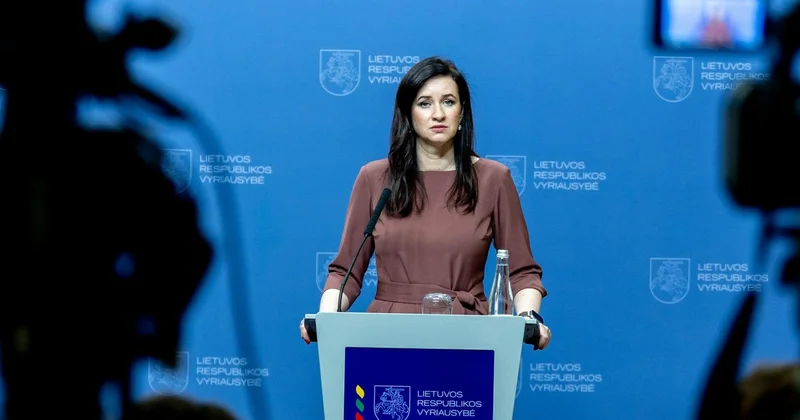 Концепция “ворот” является выгодным практическим партнерством для Азербайджана и Литвы Инга Ругинене (Эксклюзив)