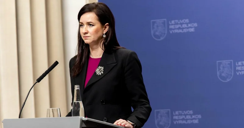 Литва заинтересована в увеличении азербайджанских инвестиций в транспорт, промышленное производство премьер министр (Эксклюзив)