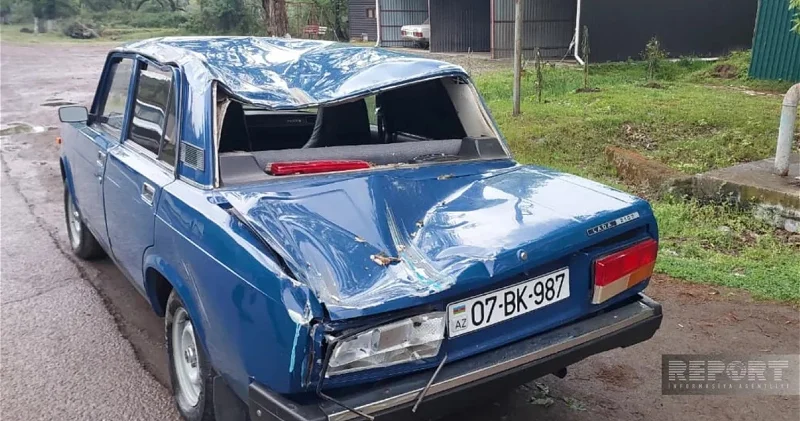 В Лянкяране дерево упало на автомобиль, есть пострадавшие фото