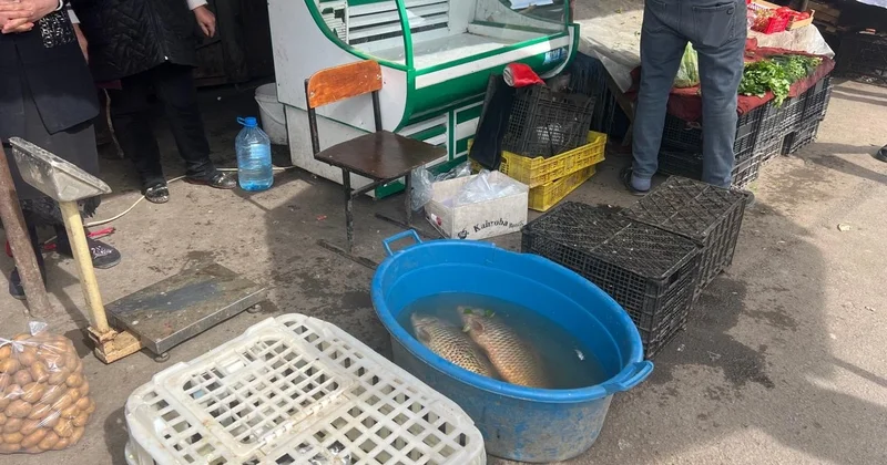 Bu rayonun ərzaq bazarında yoxlama keçirildi Nöqsanlar aşkarlandı (FOTOLAR)