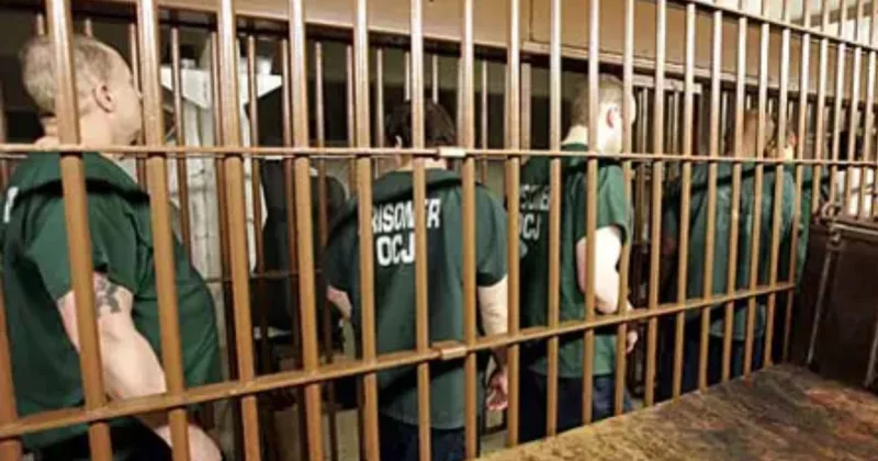 Датские тюрьмы переполнены: система на грани