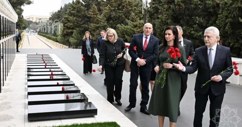 Tamerlan Qarayev Prezidentlə görüşdə iştirak edib