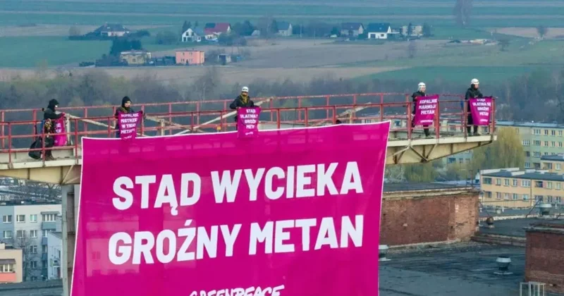 Активисты Greenpeace протестуют на 50 метровой башне в Польше
