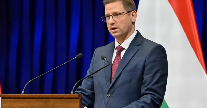 Гуйяш: Венгерские семьи не должны платить за ошибки Брюсселя