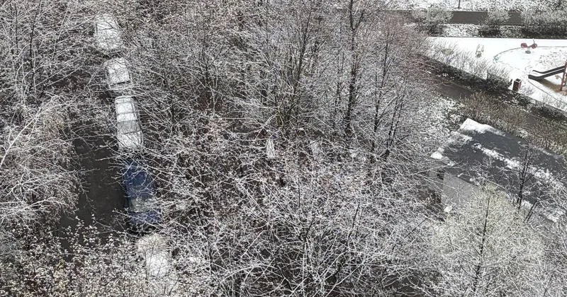 Снегопады в Москве ФОТО ВИДЕО