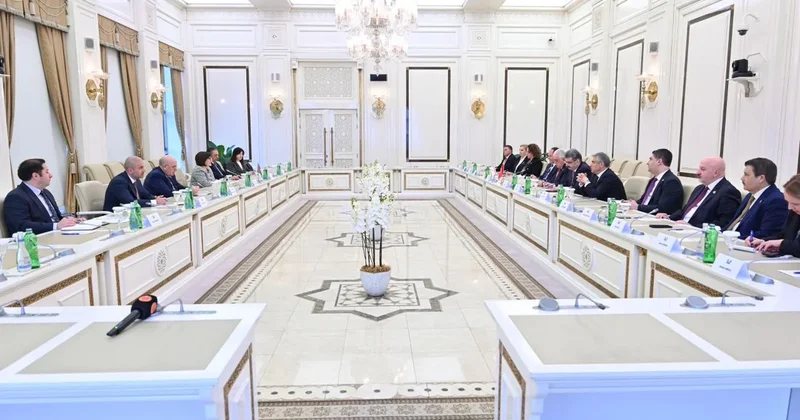 Гафарова: Встречи парламентариев Азербайджана, Турции, Северного Кипра служат укреплению солидарности