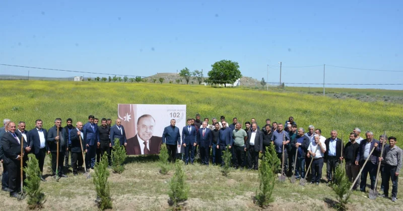 Tərtərdə keçirilən ağacəkmə aksiyasında 300 ədəd Eldar şamı əkilib