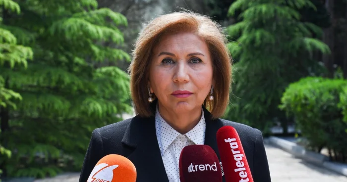 Bahar Muradova: Ailə Konsepsiyasının qəbulu vacibdir