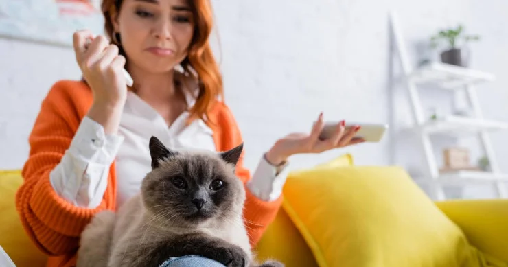 Pişiklər özlərini günahkar hiss edə və üzr istəyə bilərlərmi? CAVAB