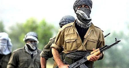 PKK nın tərksilah olunması... DEM Partiyası