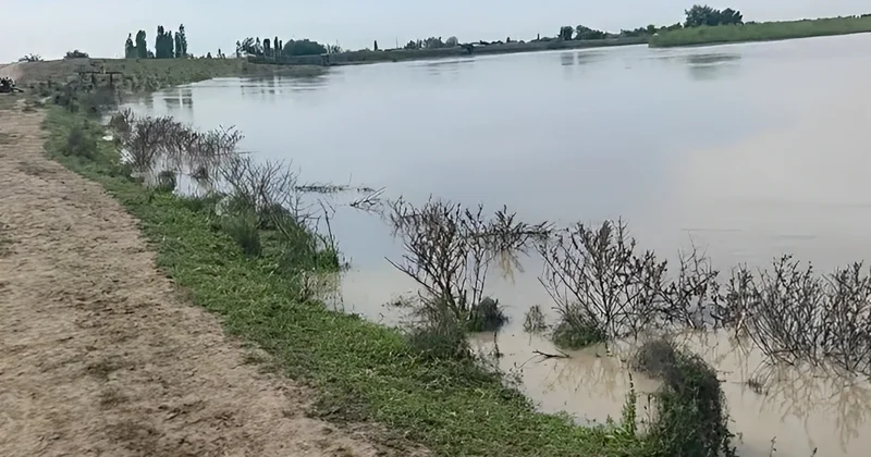 Sabirabadda Kürün səviyyəsi artdı: Bəzi ərazilər SU ALTINDA QALDI