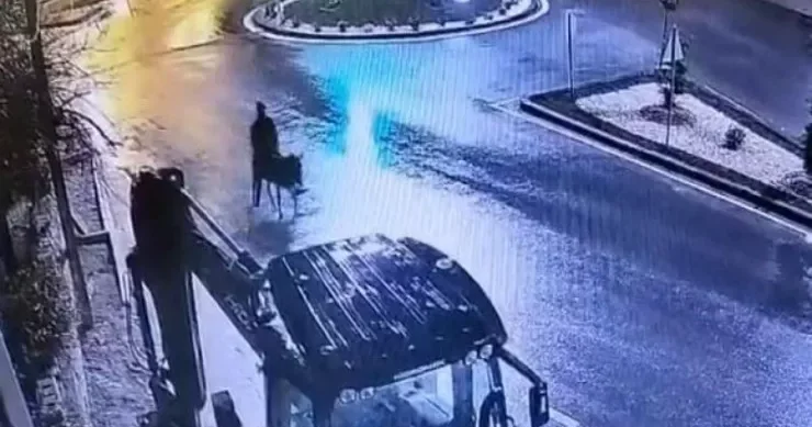Qızıl dükanını soyub uzunqulaqla qaçdı