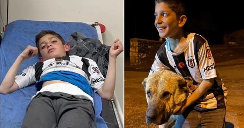““Kral” olmasaydı, ayılar məni yeyəcəkdi” FOTO