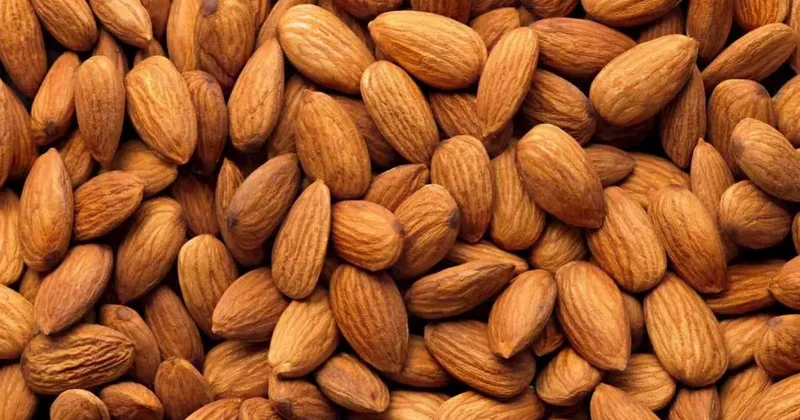 Hər gün 1 ovuc yemək gündəlik maqnezium ehtiyacını tam qarşılayır