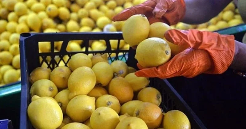 Limon seçərkən buna diqqət edin!
