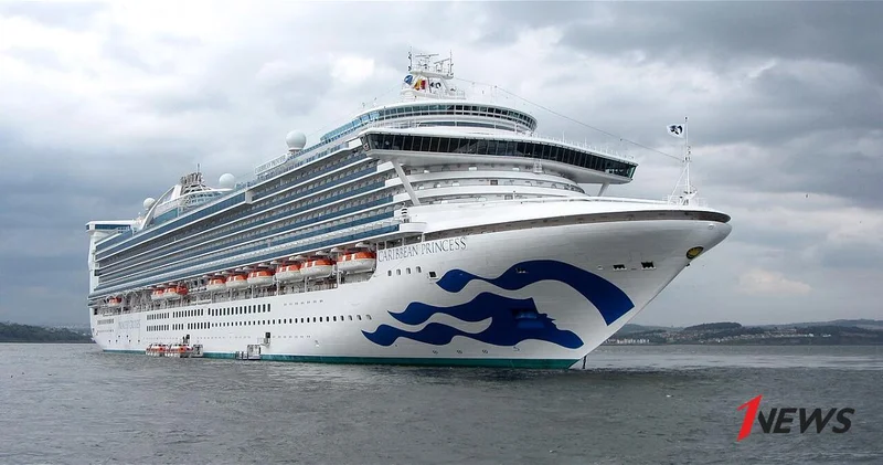 На круизном лайнере Caribbean Princess зафиксирована вспышка норовируса