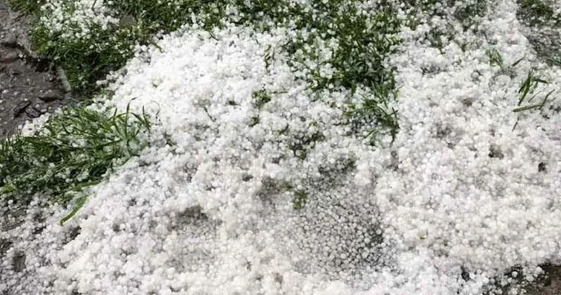 Mayın 8 də Ağstafanın Köhnəqışlaq kəndinə xırda ölçülü dolu düşüb