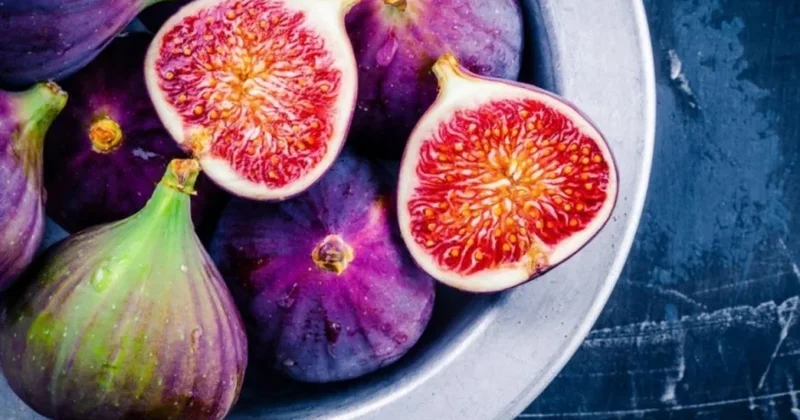 Əncir istehsalından necə qazanc əldə etmək olar?