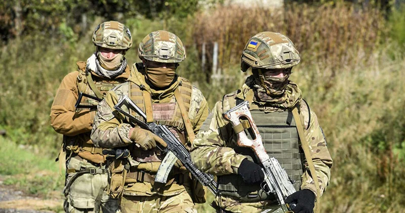 Украинский нардеп требует повысить эффективность ВСУ