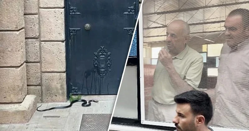 Məsciddə ilan təşvişi: Oyuncaq zənn etdilər, amma...