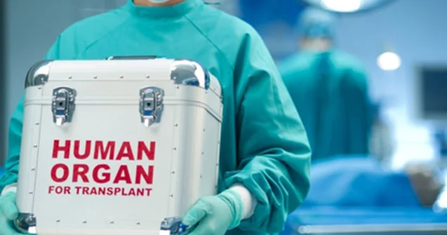 Baş nazirdən sümük iliyi transplantasiyası ilə bağlı Qərar
