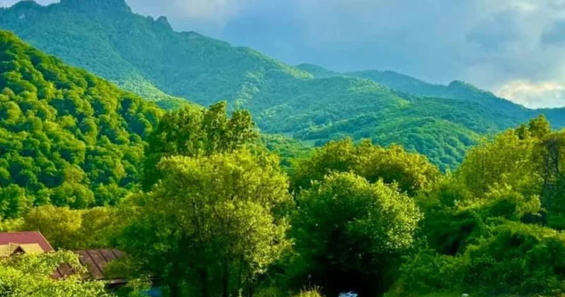 Qəbələ və Şamaxı rayonlarında geoloji monitorinq aparılır