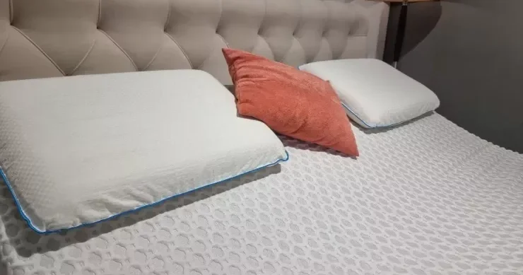 Niyə yuxu görürük? 4 elmi fərziyyə, biri qorxuludur