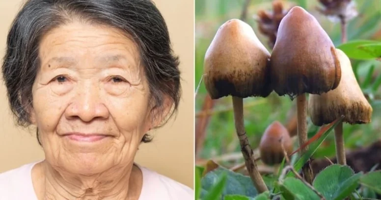 5 il danışmayan Alzheimer xəstəsində ŞOK dəyişiklik: Alimlər HEYRƏTƏ GƏLDİ