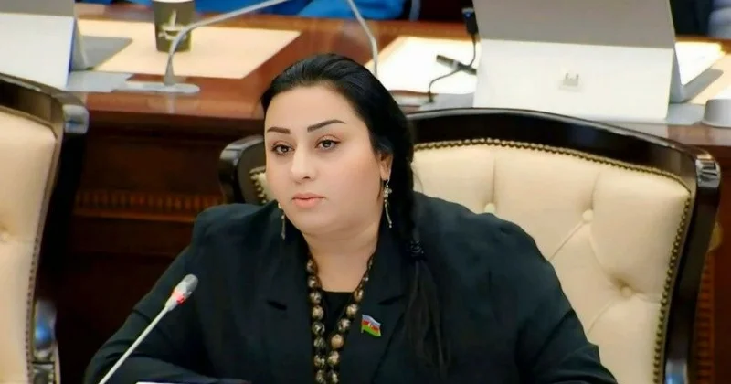 MM dəki çıxışı gündəm olan deputatımız kimdir? Maraqlı FOTOLAR+VİDEO