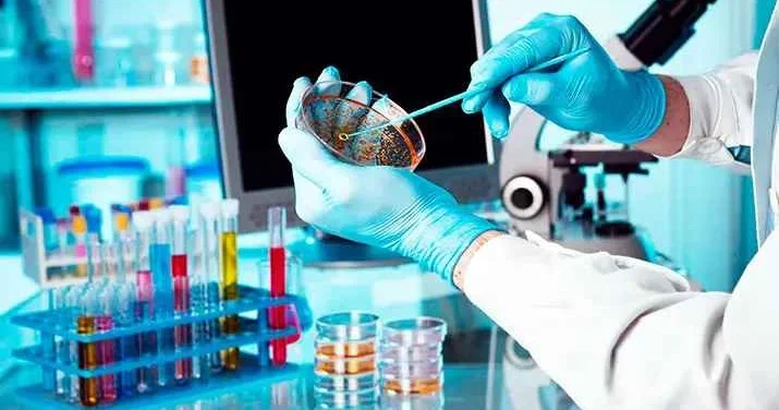 Alimlər bakteriyalarda yaddaş sistemini kəşf ediblər
