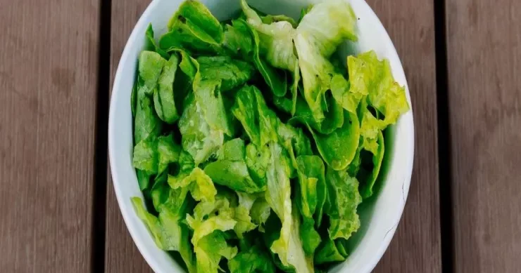 Salatı 14 günə qədər təzə saxlamağın sadə üsulu