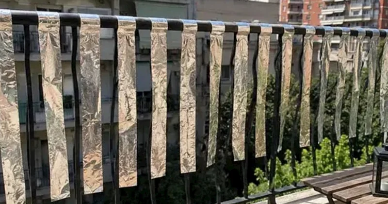 Yayda eyvana alüminium folqa asın Nə milçək gəlir, nə də quş