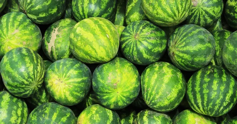 Bir dilim qarpızın orqanizmə təsiri sizi təəccübləndirəcək