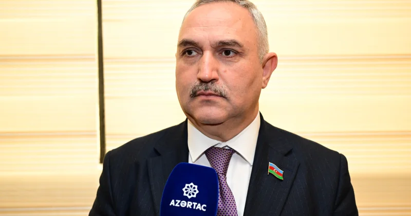 Uşaqlar üçün məhdudiyyətlərin tətbiq edildiyi platformaların siyahısı yaxın vaxtlarda təqdim olunacaq