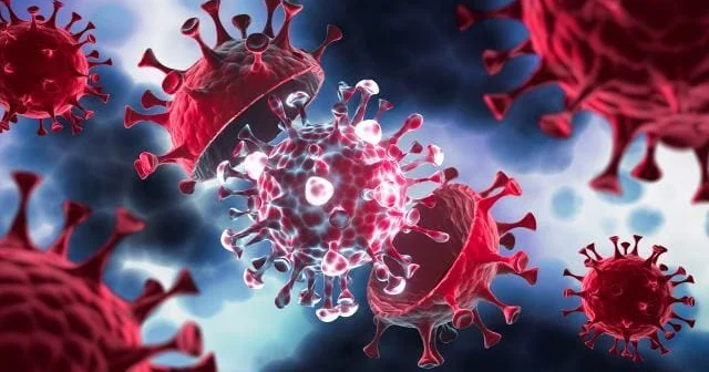 35 il əvvəl itdiyi düşünülürdü