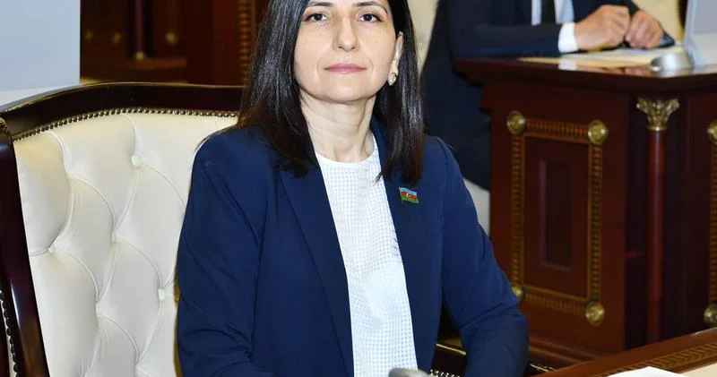 Sevil Mikayılova: “Abu Dabidə keçiriləcək görüş dayanıqlı sülhə doğru böyük addımdır”
