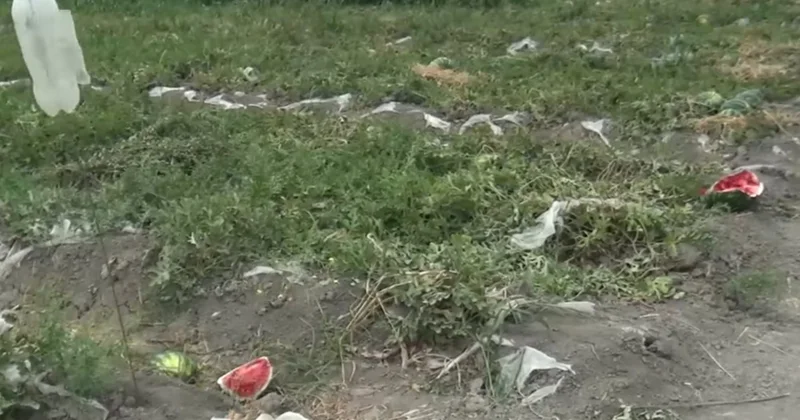 Fermerlərin başına oyun açan problem: 50 60 min pul gözləyirdim