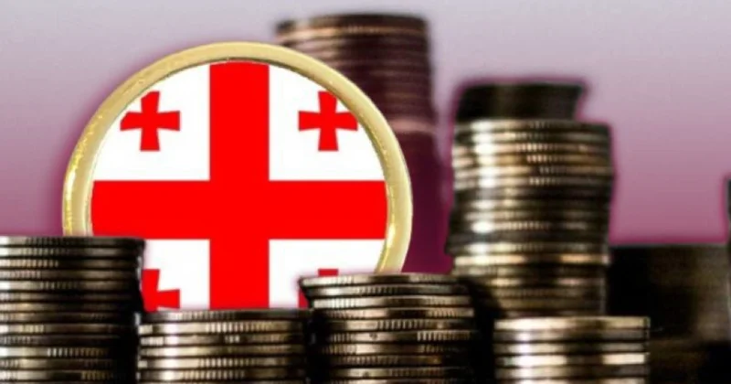 Gürcüstanın ümumi xarici borcu 25,5 milyard dollara çatıb