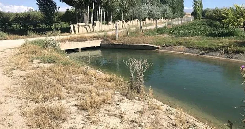 Hər Gün Yeni Bir Faciə: Ölüm Riski Artır ÇAĞIRIŞ