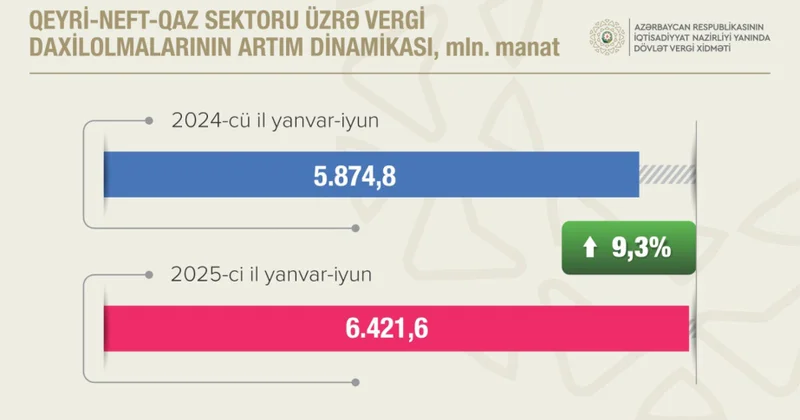 Bu ilin birinci yarısında büdcəyə Dövlət Vergi Xidmətindən daxil olan vəsaitin həcmi açıqlanıb