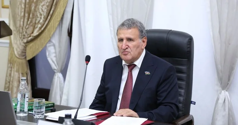 Elmin yolunda dayanan akademik Saffari yazır...