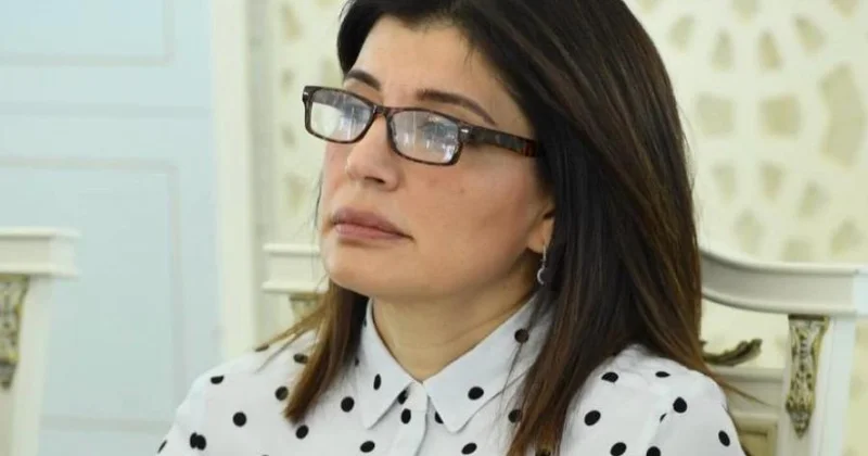 Azərbaycan diplomatiyası universal dəyərlərə, humanizmə sadiqdir Günay Əfəndiyeva