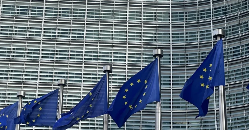 Девять стран ЕС призывают Еврокомиссию отсрочить действие новых правил въезда