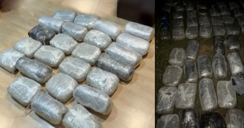 Baş idarə Yevlax və Lənkəranda əməliyyat keçirib, 76 kq narkotik ələ keçirilib