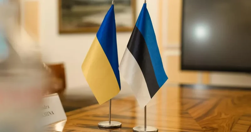 Эстония вооружится украинскими БПЛА