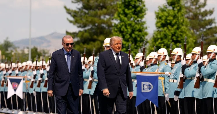 Trampın geosiyasi auditi və: NATO nun yeni reallığı