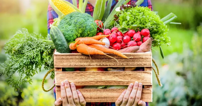 Ярмарка Из села в город в Баку: фермеры представят порядка 100 видов продукции